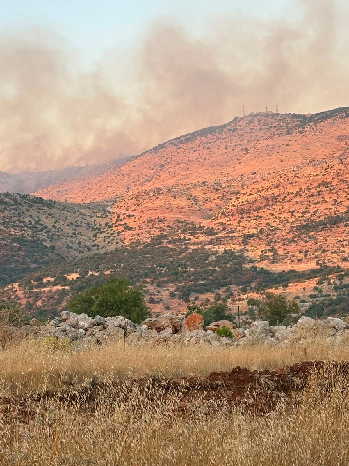 מחסנים זמניים · 50 m² · כפר סבא